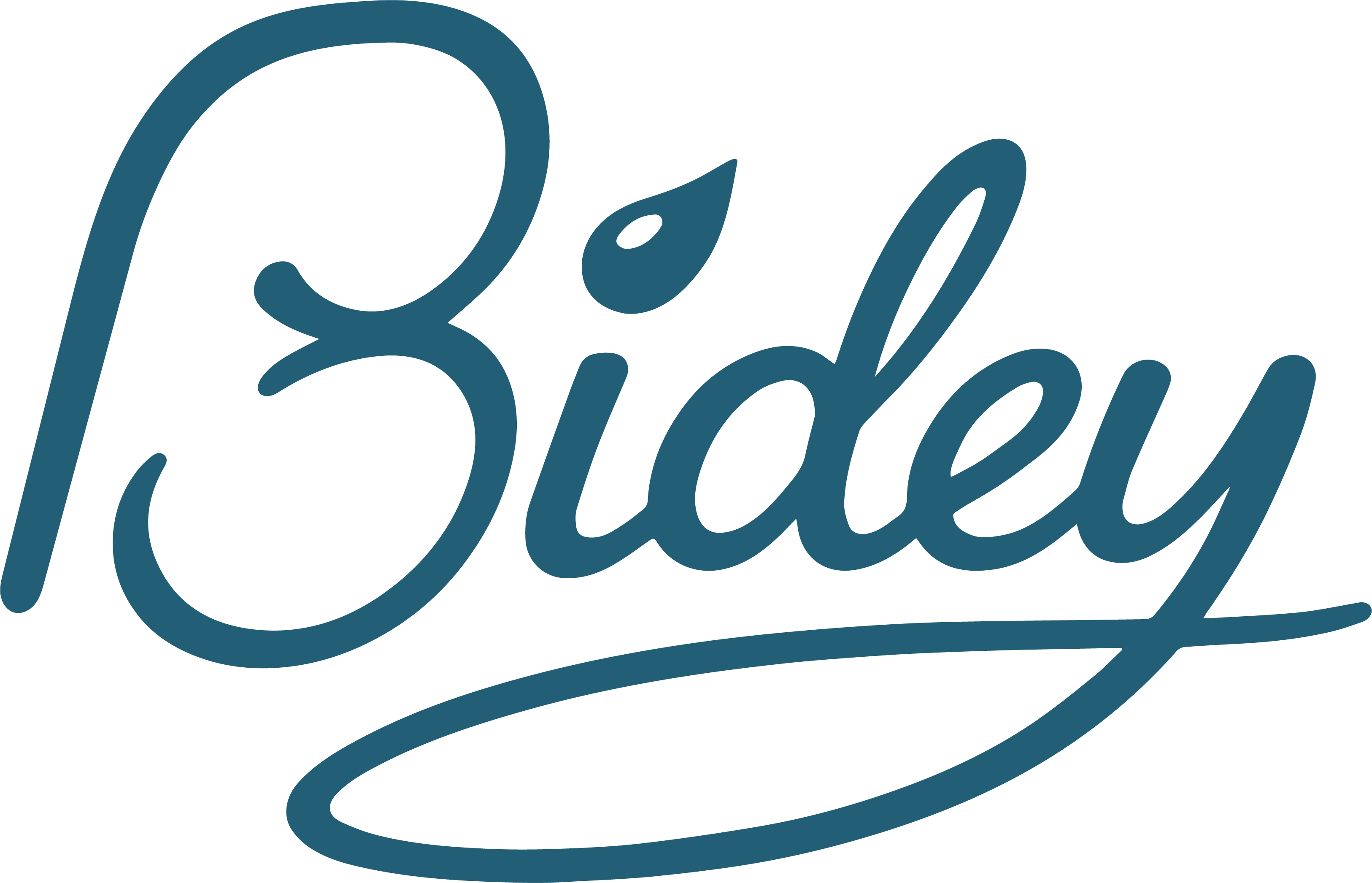 Bidey logo
